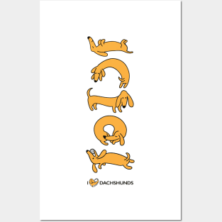 Bright Yellow Dachshunds Posters and Art